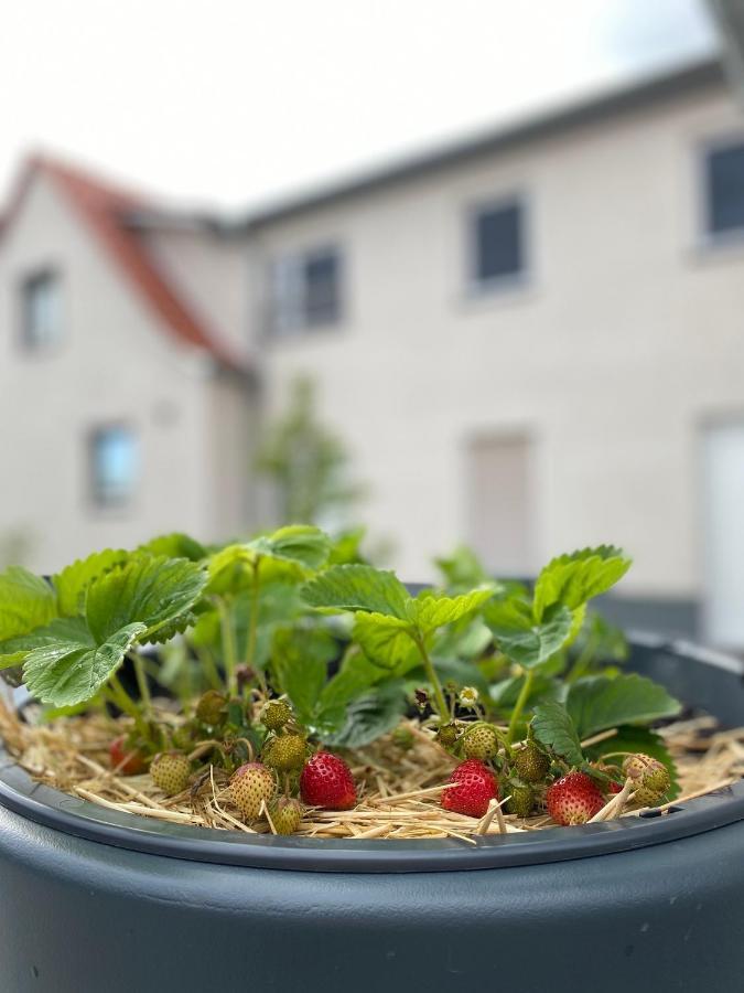 Fewo Sulzer Siedlung Erfurt "Haus 6" Apartment Exterior foto